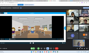 Romania_video_seminar